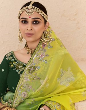 Shaded Green & Yellow Tussar Silk Saree