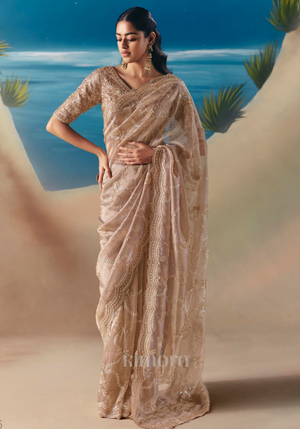 Noor Tissue Silk HandEmbroidered Saree In Beige