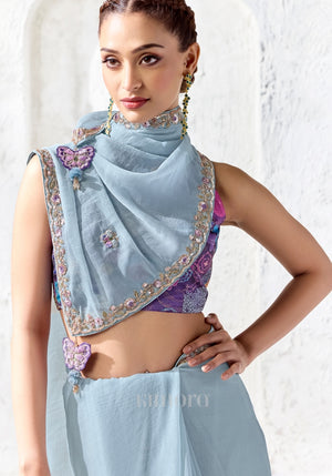 Vyana Raw Silk Delicate Embroidery Saree In Powder Blue