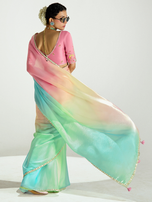 Rainbow Shade Organza Saree