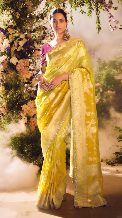 The Golden Sunrise: A Celebration in Yellow & Magenta