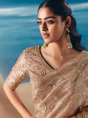 Beige Organza Tissue Silk Hand Embroidered Bridal Saree