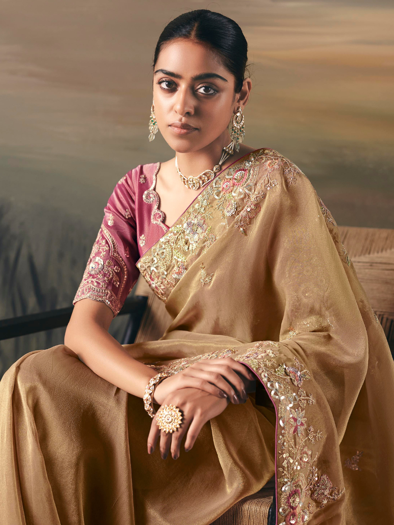 Beige Saree Close-Up with Detailed Embroidery Work on Border and Pallu, Rich Festive and Traditional Craftsmanship
