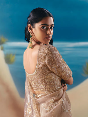 Noor Tissue Silk HandEmbroidered Saree In Beige