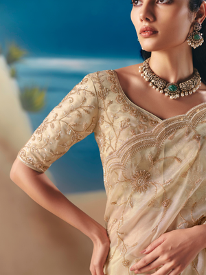 Beige Organza Tissue Silk Hand Embroidered Bridal Saree