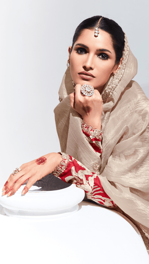 ELEGANT BEIGE SILK SAREE WITH EMBROIDERED RED BLOUSE - Kimora.in