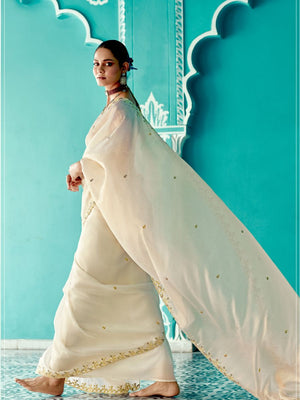 Organza Saree with Embroidered Border & Green Designer Blouse