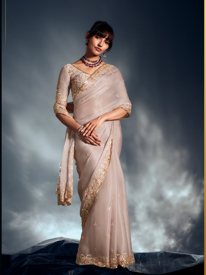 Bridge Pure Organza Embroidered Saree