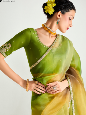 Green Shade Organza Tissue Silk Saree with Multi Sequins Work & Green Embroidered Blouse