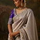 Meherika Shimmer silk heavy border saree in Silver