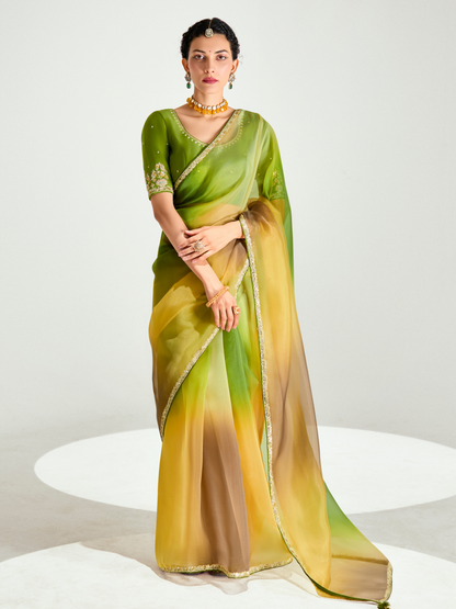 Green Shade Organza Tissue Silk Saree with Multi Sequins Work & Green Embroidered Blouse