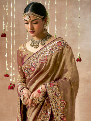 Brown Dola Silk Saree with Zari & Stone Work
