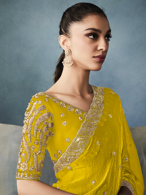 Tissue Embroidered Fancy Heavy Border Saree