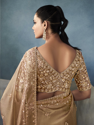 Tissue Embroidered Fancy Heavy Border Saree