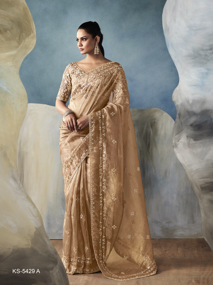 Tissue Embroidered Fancy Heavy Border Saree
