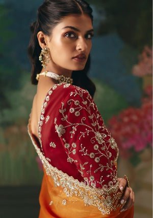Sachika Tissue Silk Hand Embroidered Saree In Orange