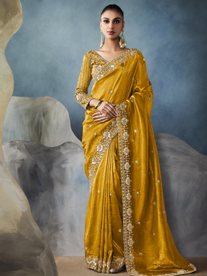 Tissue Embroidered Fancy Heavy Border Saree