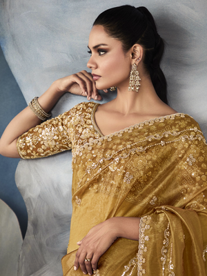 Tissue Embroidered Fancy Heavy Border Saree
