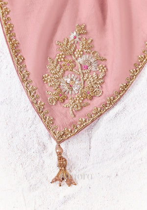 Close-up of the blush pink Tissue Silk saree showcasing intricate zari, sequins and bead embroidered border with elegant craftsmanship.
