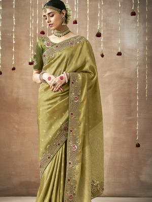 Woman wearing a green saree with intricate patterns against a brown background