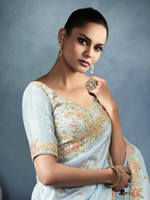 Sky Blue Tissue Embroidered Fancy Heavy Border Saree
