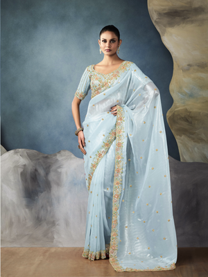Sky Blue Tissue Embroidered Fancy Heavy Border Saree