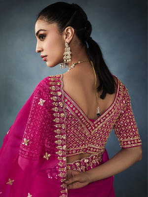Pink Tissue Embroidered Fancy Heavy Border Saree
