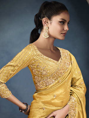 Tissue Embroidered Fancy Heavy Border Saree