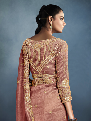 Tissue Embroidered Fancy Heavy Border Saree