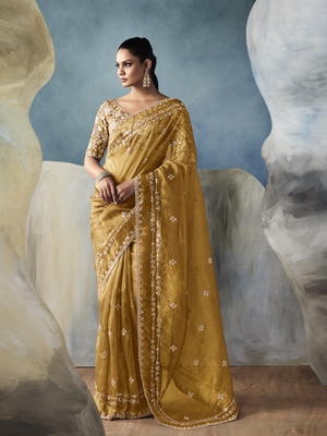 Tissue Embroidered Fancy Heavy Border Saree