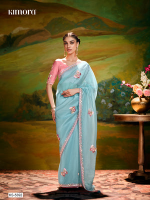 Aqua Blue Saree with Red Blouse